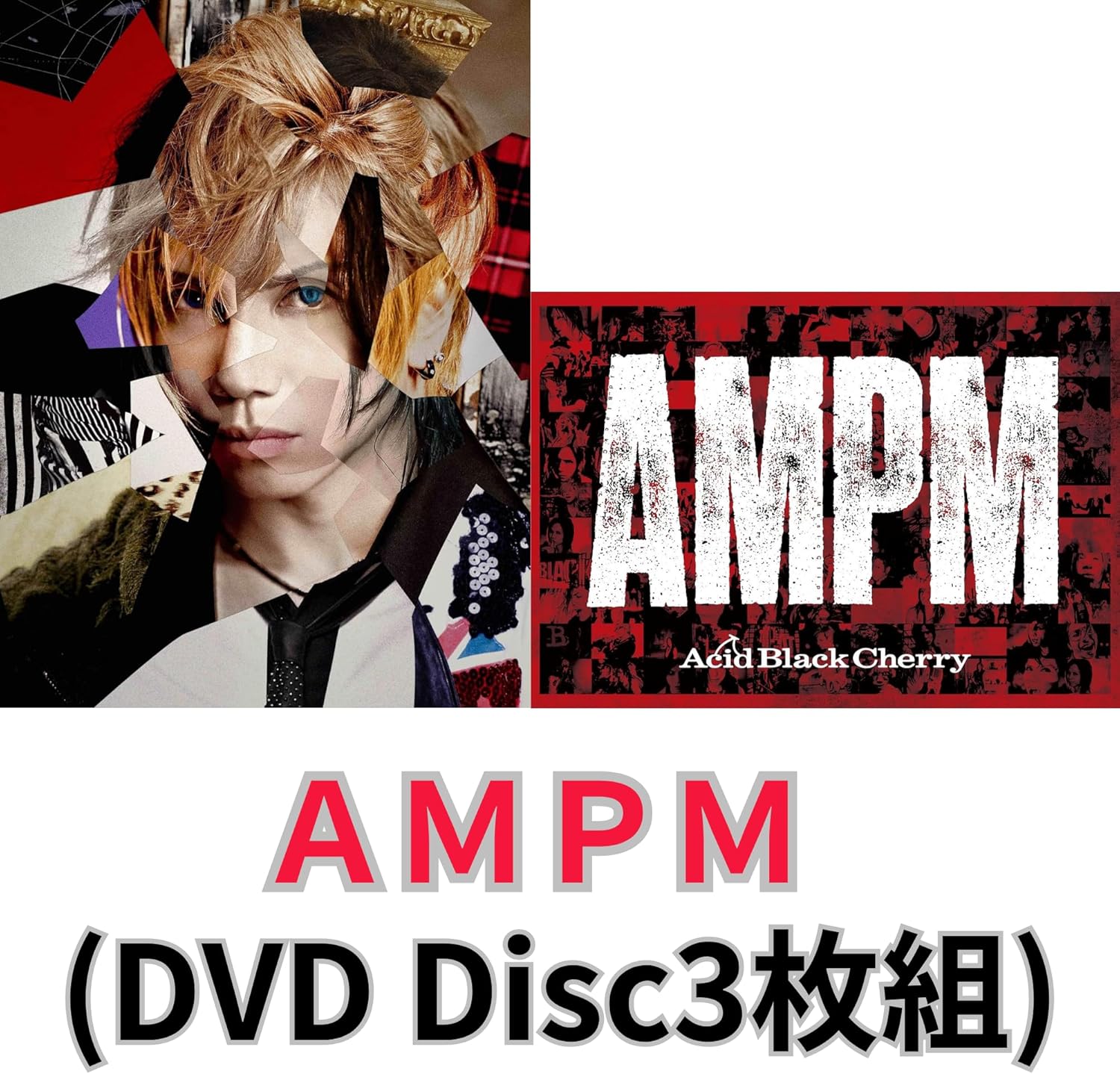 Acid Black Cherry Live DVD Acid Black Cherry Re:birth LIVE DVD